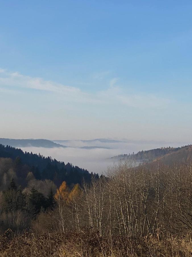 Zielone Zarabie Residence Myślenice Kültér fotó
